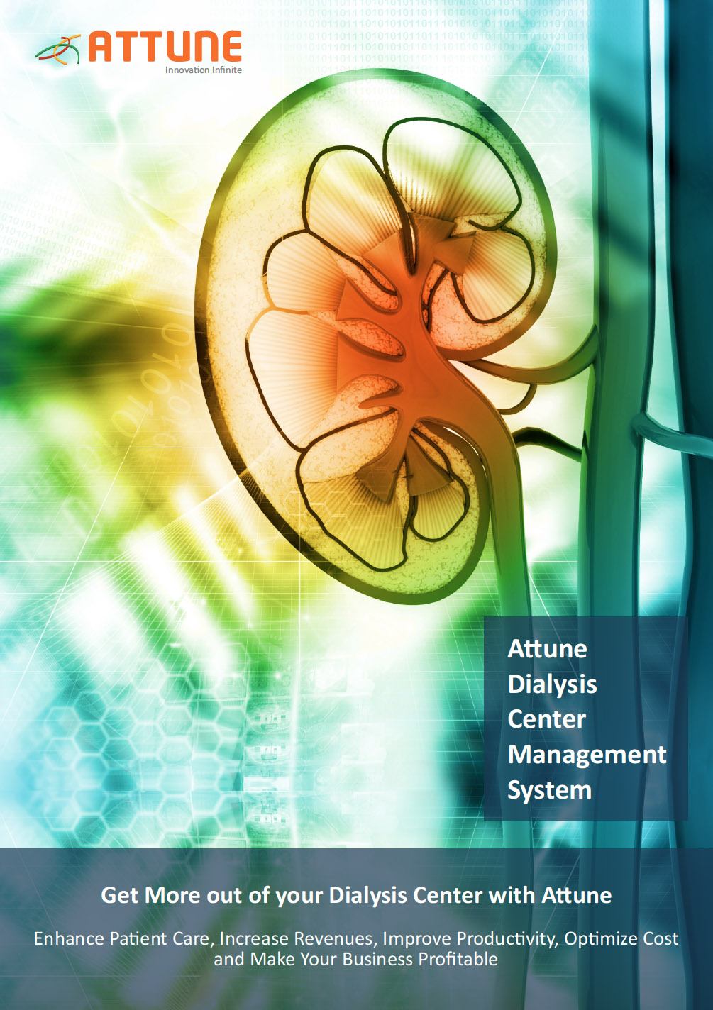 wp-dialysis-brochure